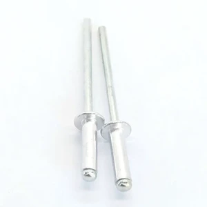 Customized Stainless Steel & Aluminum Blind Rivets Open Type Solid Pop Rivets ISO Standard Grade 4.8/8.8/10.9 Bright Finish