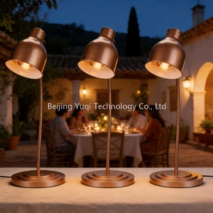 Rose Gold Stainless Steel Retractable Electric Food Warmer Lamp for Restaurant and Home Buffet Use