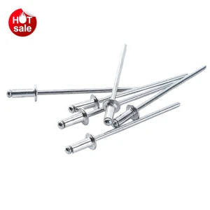 Wholesale Customization Aluminum Large Flange Blind Rivet with Zinc Plated Surface Aluminum Blind Rivet Pop Rivets Remaches