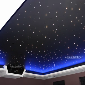 50W Led Fiber Optic Lights Led Twinkle Optical Fiber Lighting Fiber Optic Star Ceiling Kits Light