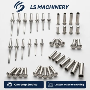 High Quality Industrial Stainless Steel Rivets - Custom OEM/ODM Bulk Supply Factory Price 20 Days Fast Delivery