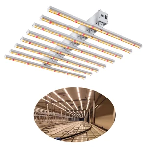 Stock Dimmable Growing Light 6 8 Bars 1000W Grow Lights for Indoor Plants 1000W Led Grow Fixture