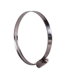 Germany Standard DIN3017 Fastener Galvanized Steel Worm Gear Hose Clamp for Car Use Inch & Metric Measurement System Pipe Clip