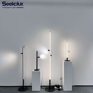 Modern Decorative Modular Floor Lamp with Track Spotlight LED Track Standing Light Glowing Track Light 5mm Magnetic Track System