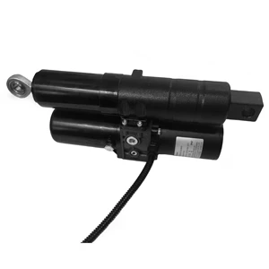 Electric Hydraulic Cylinder with Thrust