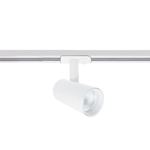 High Performance 8W/10W Magnetic LED Track Light COB Recessed Spotlight 3000K Surface Mounted for Shop Ceiling