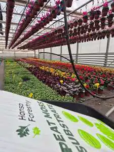 turba mejorada con nutrientes Ideal hortalizas flores plantas de arriate plantas de interior arboles plantas ornamentales