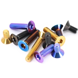Aluminum 6061 7075 Titanium GR2 GR5 Blue Gold Anodized Slotted Torx Flat Countersunk CSK Head Machine Screw DIN963 ISO14581