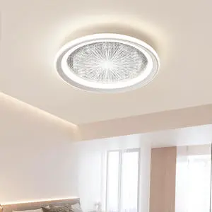 Hot Selling Living Room Indoor Ceiling Light at Good Price