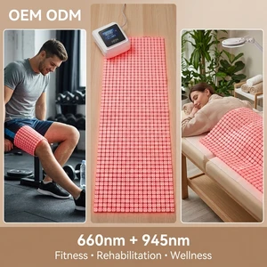 OEM ODM Full Body Infrared Therapy Pad 660nm 945nm for Fitness Rehabilitation and Wellness