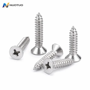 SS201 SS304 SS316 Stainless Steel Flat Head Phillips Self Tapping Screw DIN 7982