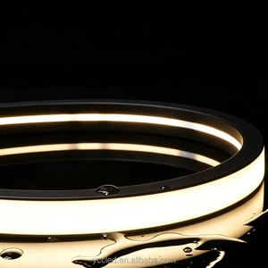 Thin 8*15mm All-Black IP67 Silicone Neon LED Strip DC24V Safe Recessed Hidden Light For For Indoor Smart Wood Wall