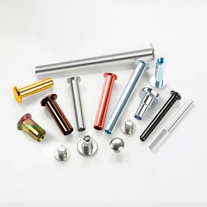 Customize Rivet M2-M12 Iron Stainless Steel Aluminium Brass Flat Round Head Semi-hollow Rivets Solid Pin Rivet