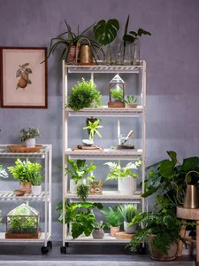 4-Tier LED Grow Light Garden