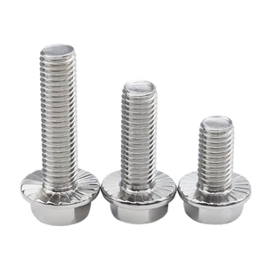 Stainless Steel M6 Thread Size Hexagonal Flange Machine Nut Hardware Inch Size Zinc Finish UNC UNF BSF Screw Bolts Grade A2-70