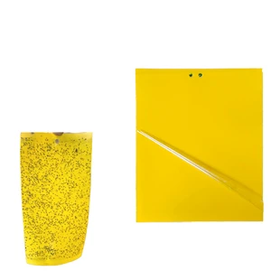 Solid State Plastic Eco-Friendly Waterproof Pest Control Trap 10*20cm Outdoor Greenhouse Fly Moth Catcher Yellow/Blue Sticky