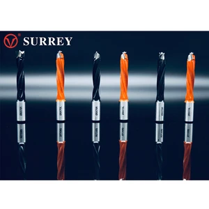 Top Quality Durable and High Precision Tungsten Carbide Woodworking CNC HW Boring Bit/Dowel Drill Bit with Beading Point