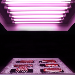 Wholesale High Quality LED Chips of Specific Light Different Models for Fresh Meat T8 Fresh Food Lighting LED Tube