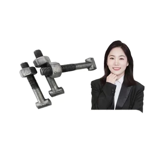 Manufacturer-Source T-Shaped Screws Fasteners Fastest Delivery Wholesale Bolts Bolts in Bulk Steel Material Discount Offered