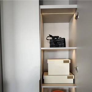 Indoor Lighting LED Embedded Strip Light for Kitchen Wardrobe Cabinet Light