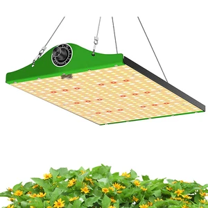 1000W Plant Fill Light LED High Power Adjustable Light Outdoor IP65 Waterproof Quantum Plate Dapeng Vegetable Plant Growth Light