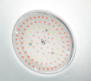 Full Spectrum High Efficiency Rechargeable Aluminum 100W LED Plant Grow Light for Indoor Bloom Flower Propagation Greenhouse