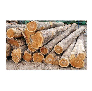 Premium Teak Wood Logs Hardwood Dried Round Logs for Sawmill Lumber and Furniture Production