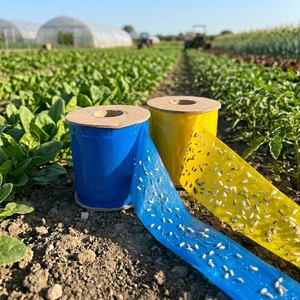 15 Cm X 100 M Non-toxic Yellow Blue Sticky Insect Roll Thrips/Whitefly Waterproof Both Sides Pest Trap For Plant Protection
