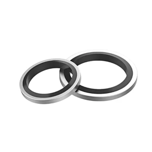 WS-SEALS PTFE Piston Ring Double-acting O-ring Energized Low-friction Piston Seal BSF Glyd Ring