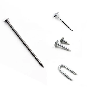 Professional Manufacturer All Kinds Iron Nails