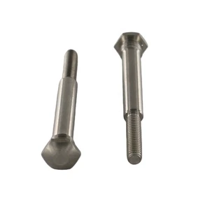 Factory Direct Sales OEM Screws Camera Mount Screws Non Standard Long Shank Step Bolt for Machinery