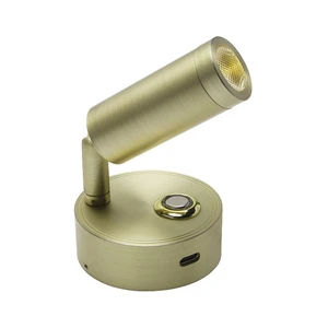 Indoor Decor Stepless Dimming Painting Spotlight Dual LED DC 12V 24V Golden Picture Light Art Display Night Light for Picture