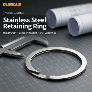 Dlseals Stainless Steel Retaining Ring Custom Precision Circlip Snap Ring for Industrial Shaft Groove Machinery OEM Bulk