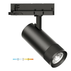 Modern 3000K-4000K Adjustable Track Lighting 3 CCT 4-Wire Museum Aluminum Lamp Body 15W-24W LED Cob Chip For Home Office Museum