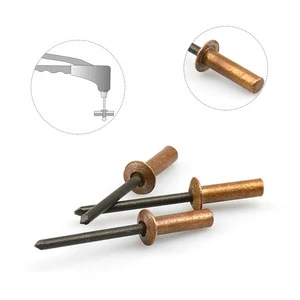 Golden Color Rivets Pop Rivet Aluminum Blind Rivets, 3/16
