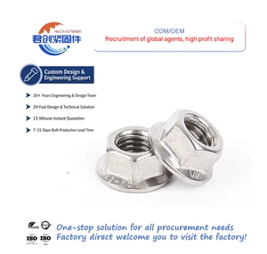 304/316 Stainless Steel Metric Hex Flange Nuts DIN6923 Toothed Anti-Slip with Washers Self-Locking M3/M4/M5/M6