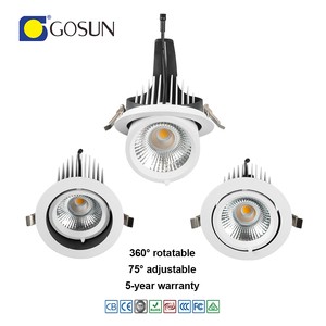 Modern 8W Cob LED Downlight For Museum Wall Retractable Gimbal Rotating Aluminum Body Indoor Application