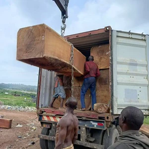 Timber Fresh Wood Timber Log in Our Forest Cutting Iroko From Nigeria