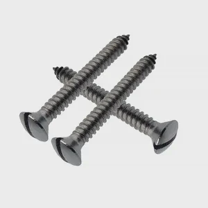304 316 Stainless Steel Self-tapping Screws Slot Drive Oval Countersunk Head Self Tapping Screws