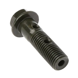 Hollow Banjo Screw Bolt Automotive Fasteners With Two Holes or Four Holes Cwb 450 Banjo Bolt