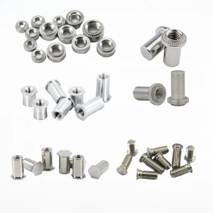 Other Auto Fastener Clip Drop in Anchor Bolt, Car Clips Snap Fasteners