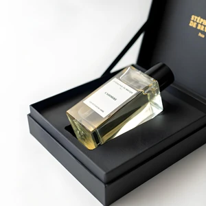 Manufacture Luxury Custom With Packaging Box Clear Square Pump Sprayer Crimp Empty Clear 30ml Fine Mist Perfume Glass 50ml 100ml
