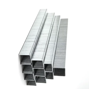 Carton 80 Series 80/10 80/14 8010 8009 21ga Staples Nail