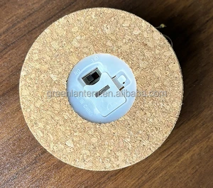 Creative LED Light Photosynthesizing Wood Cork Battery Box LED Light Microlandscape Plant Growth Light for Office