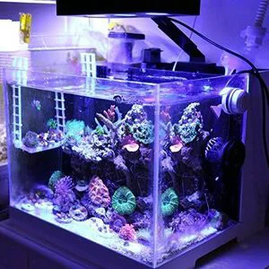 Aquarium LED Light 3rd Generation A029 30 Watts Saltwater Light with Touch Control, 5W for Coral Reef Nano Fish Marine Tanks