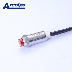 UL Listed 6.3mm 10mm LED Indicator Light 110V 220V Neon Pilot Lamp Threaded Signal Light with Wire Leads