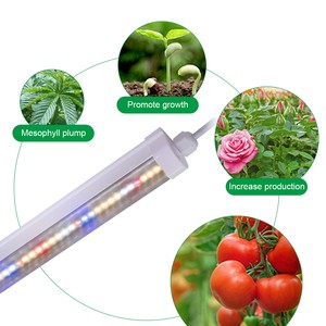 Plant Growing Lamp T8 Led Tube Light Horticulture Hydroponic Light for Indoor Medical Plant Nursery Seedling Blooming