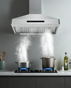 JILU Electric Island Style Wall-Mounted Range Hood Stainless Steel LED Light Vented Exhaust Function 21 M/min US Household