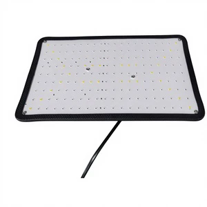 IP65 Rated Full Spectrum LED Hanging Plant Light for Greenhouse Vegetables Flowers & Succulents-Bloom & Red Light