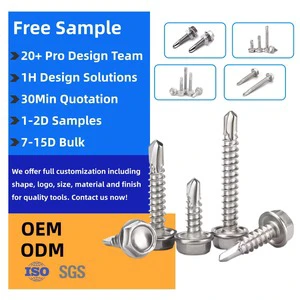 China Manufacturer Supply M2 Self-Tapping Screws - Stainless Steel Wafer Head Self-Drilling Design